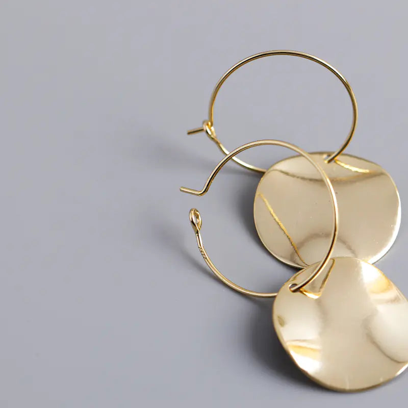 Irregular Wave S925 Silver Earrings for Women